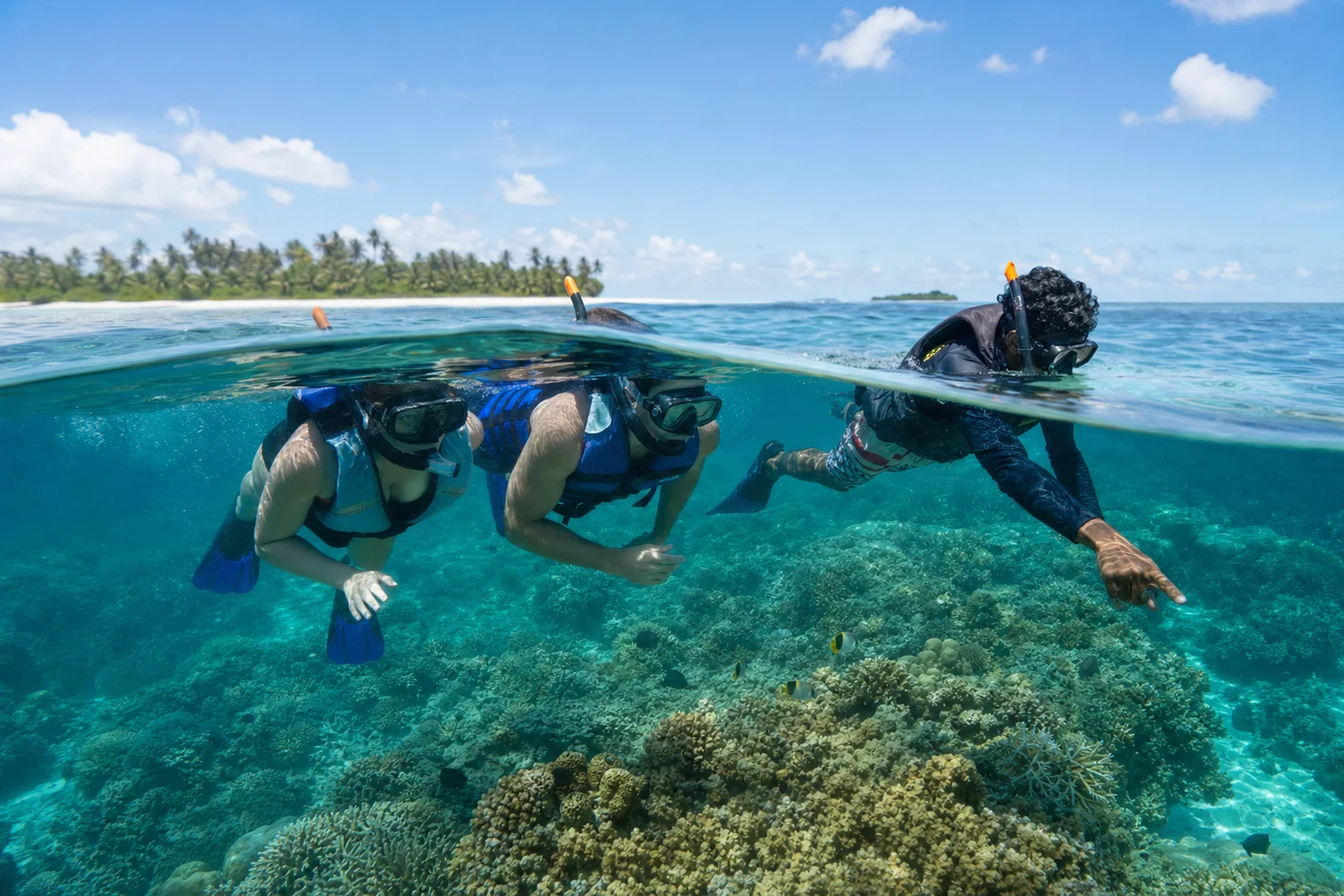 Bangaram Introductory Reef Snorkel — activity reef snorkel